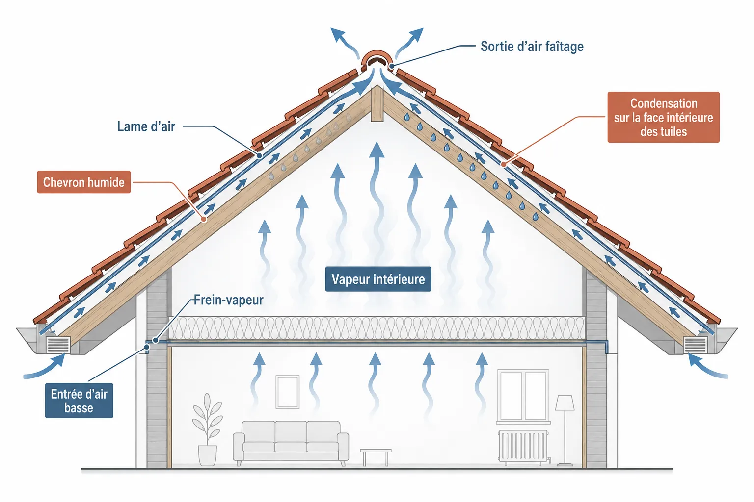 Condensation sous toiture : causes et solutions