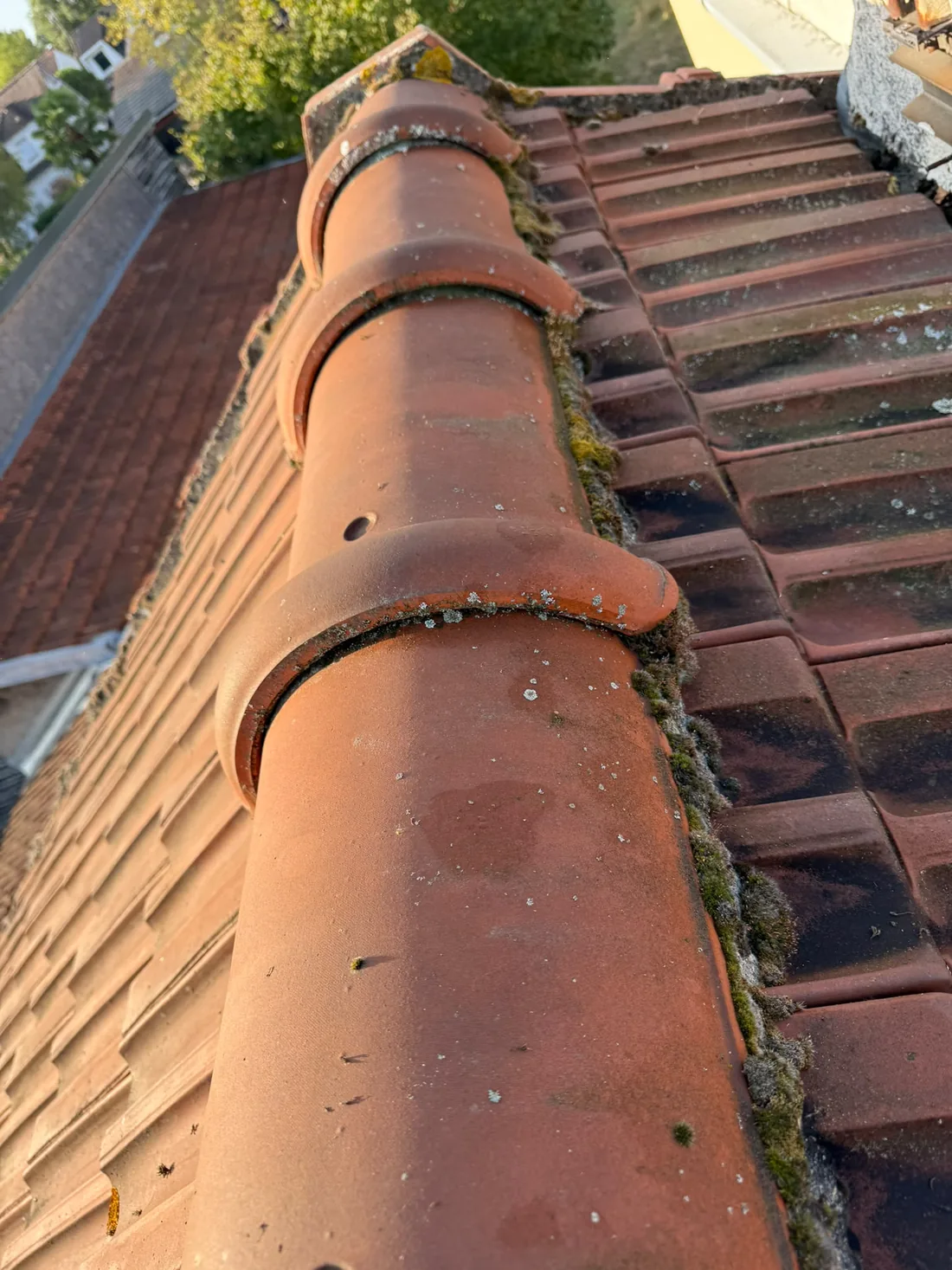 Faîtage ancien en tuiles faîtières rondes scellées au mortier, mousse et joint dégradé sur une toiture du Loiret