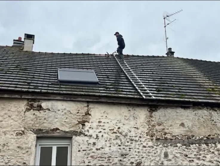 Toiture avant intervention : mousse et tuiles noircies