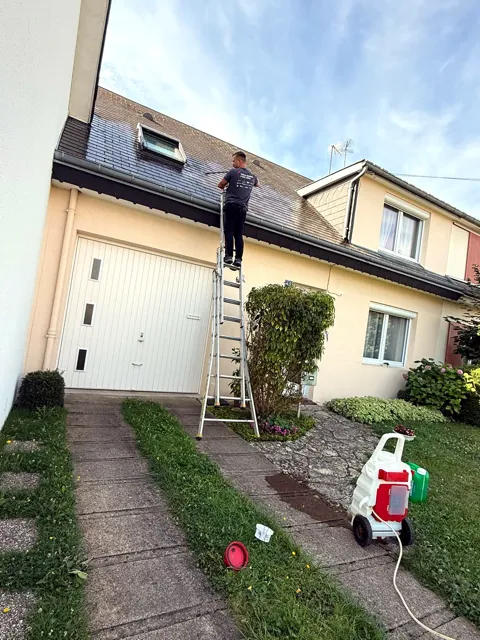 Nettoyage & démoussage de toiture